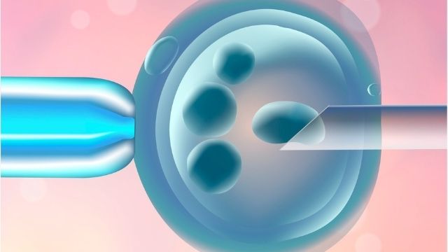 preimplantation genetic diagnosis