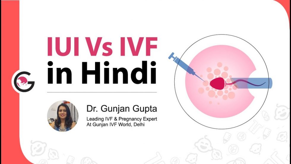 What Is The Difference Between Iui And Ivf The Most Trusted Fertility And Ivf Center In Delhi 