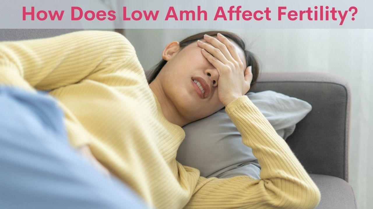  How Does Low Amh Affect Fertility Gunjan IVF World North India 