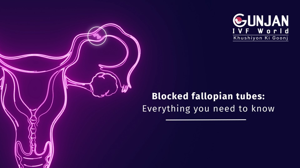 Know everything about blocked fallopian tubes