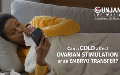 Can cold affect IVF treatment?