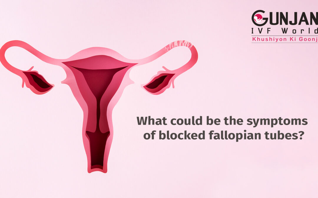 What could be the symptoms of blocked  fallopian tubes?