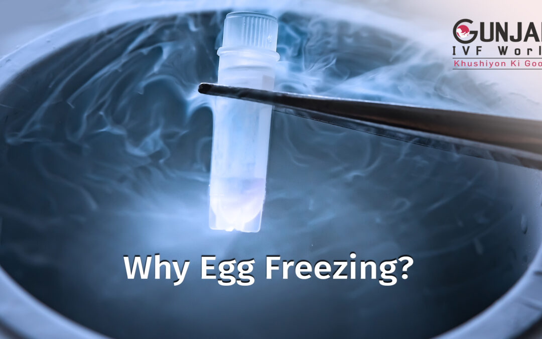 Egg or oocyte freezing and its advantages