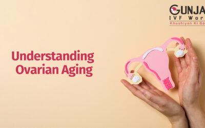 Understanding ovarian aging?