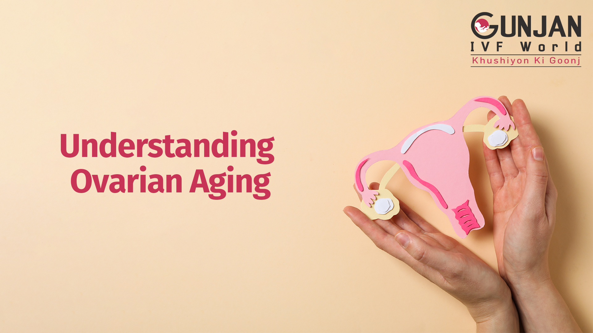 Understanding ovarian aging?